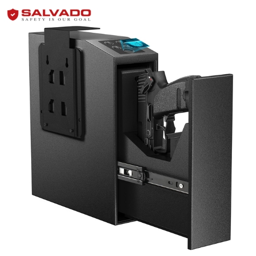Pistol Safe PS2